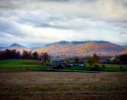 15:03:32 GMT-0500 (EST)