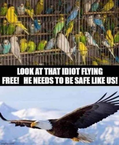 15:51:46 GMT-0600 (CST)