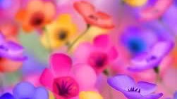 5F153B25-A841-4C1F-9581-D6FB85C9E658