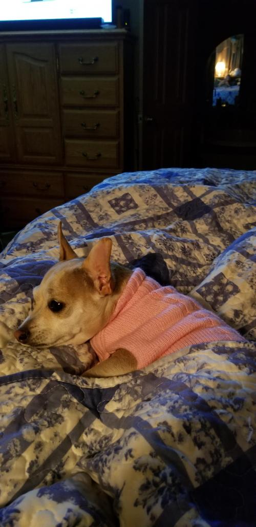 21:18:14 GMT-0600 (CST)