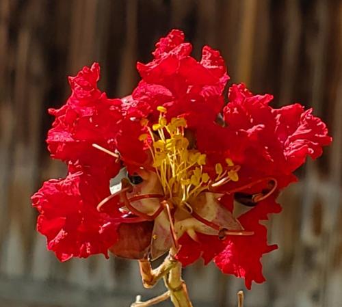 15:42:50 GMT-0800 (PST)