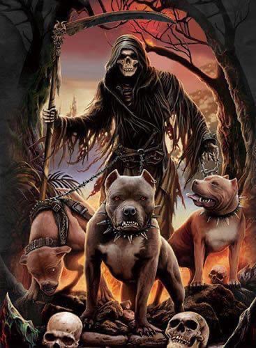 12:04:11 GMT-0600 (CST).image