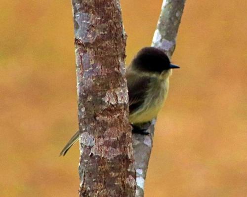 21:29:11 GMT-0600 (CST)