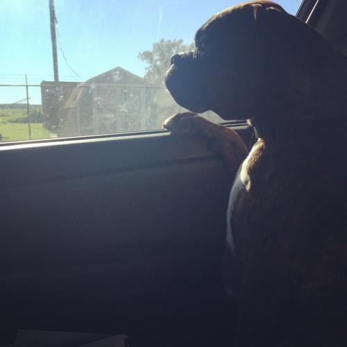 14:45:15 GMT-0600 (CST).image