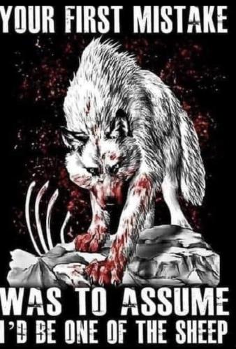 08:12:23 GMT-0600 (CST).image