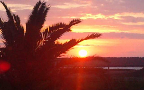 09:05:41 GMT-0600 (CST).png