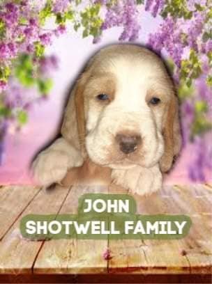 92808689-1601734169981158-1080312634336608256-n