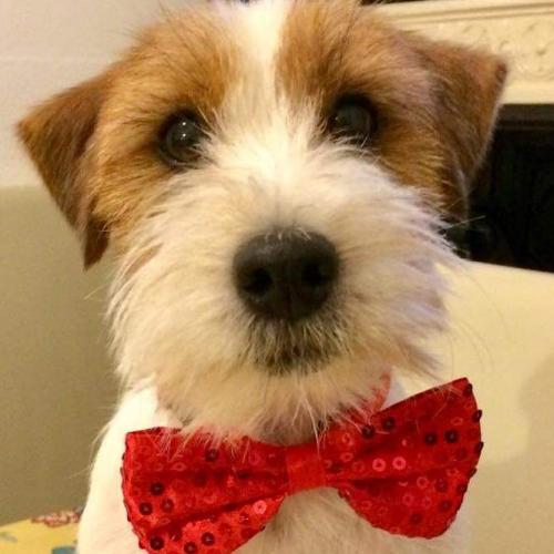 15:54:21 GMT+0100 (WAT)