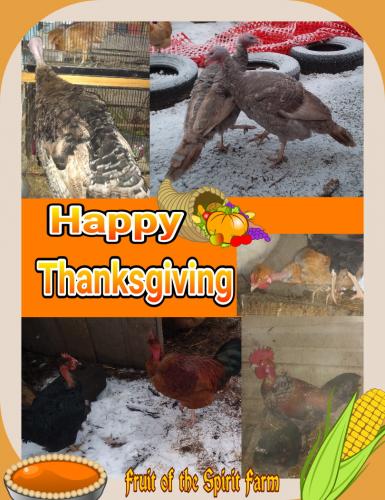 09:07:19 GMT-0600 (CST)