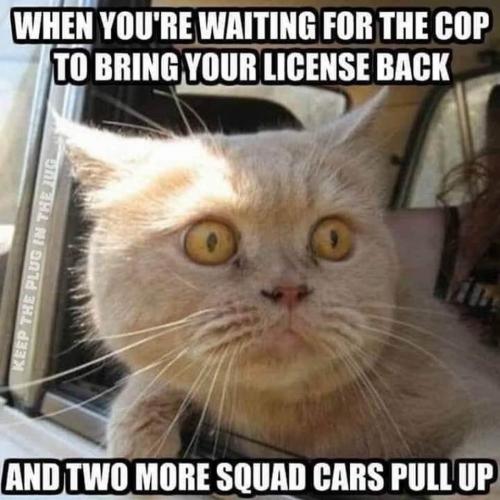 01:31:34 GMT-0800 (PST).image