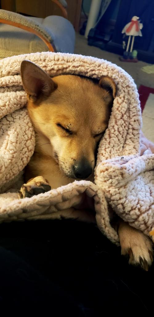 01:11:14 GMT-0600 (CST)