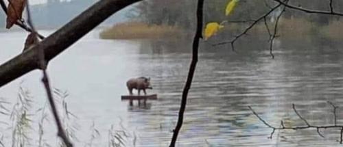 124165289_10164213781835153_4373778602953755242_o - Copy