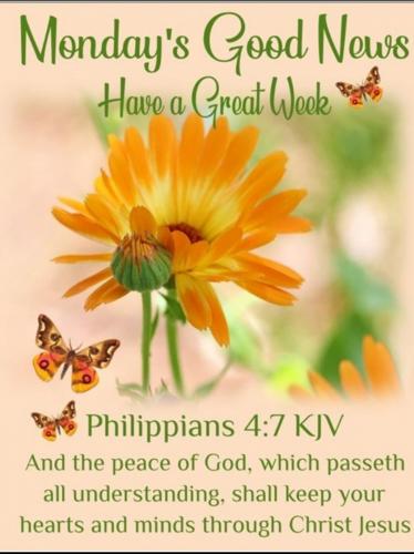 08:52:34 GMT-0600 (CST)