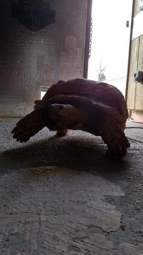 16:14:31 GMT-0600 (CST)