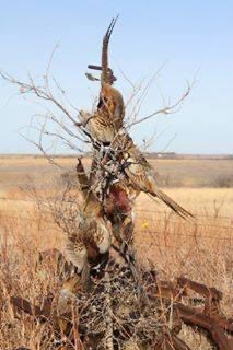 10:09:14 GMT-0600 (CST).image