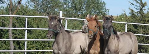 08:02:34 GMT-0600 (CST)