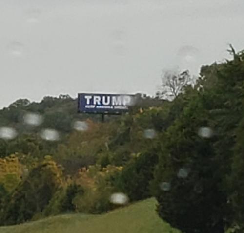 2020 Photo Pictures   6