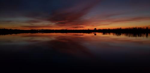 20:03:54 GMT-0500 (EST)