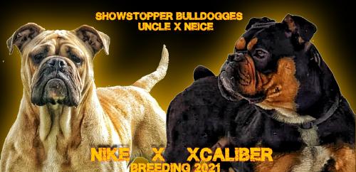 16:23:25 GMT-0500 (EST)