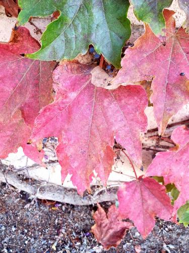 15:06:59 GMT-0800 (PST)