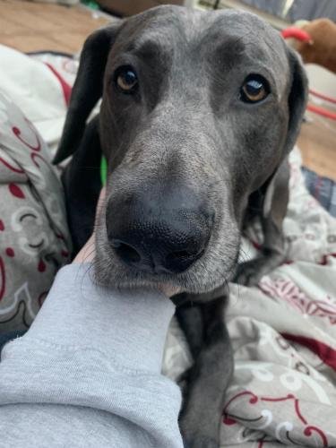 09:01:03 GMT-0600 (CST).image