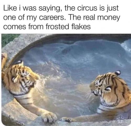 18:45:44 GMT-0600 (CST)