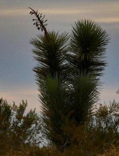 15:01:51 GMT-0800 (PST)