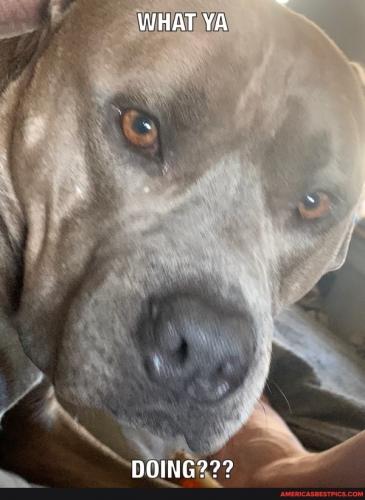 09:11:28 GMT-0600 (CST).image