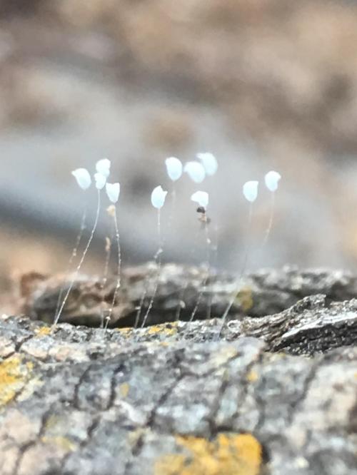 18:40:49 GMT-0600 (CST).image