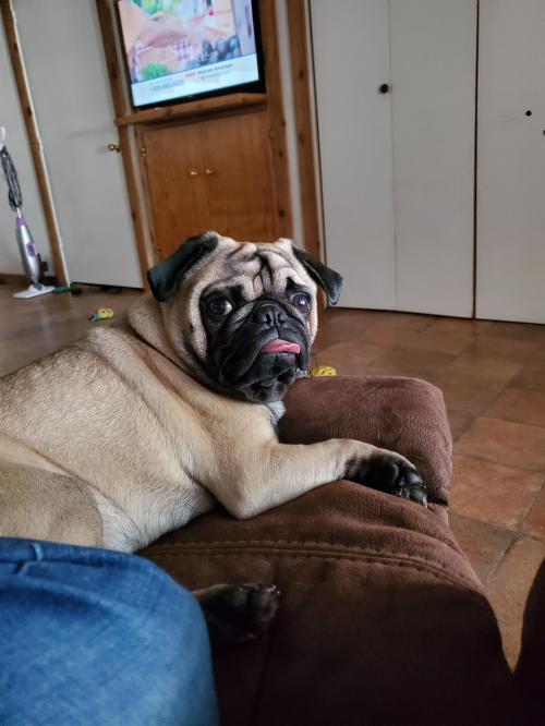 09:36:48 GMT-0600 (CST)