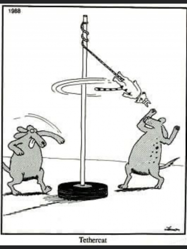 07:23:52 GMT-0700 (MST).image