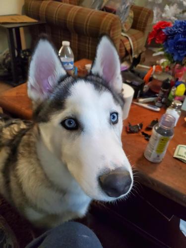 12:47:20 GMT-0500 (EST)