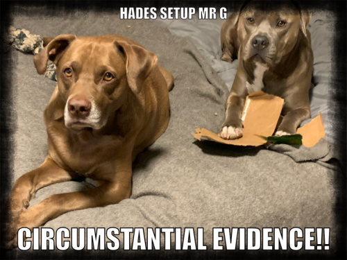 17:42:11 GMT-0600 (CST).image