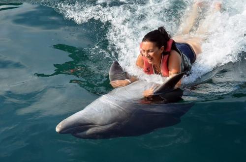 F0952B05-9F0B-4018-844D-FB4E65CDBD79