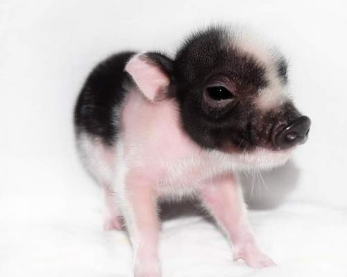 received_311727600061119