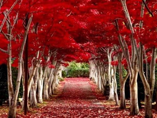 08:53:43 GMT-0500 (EST)