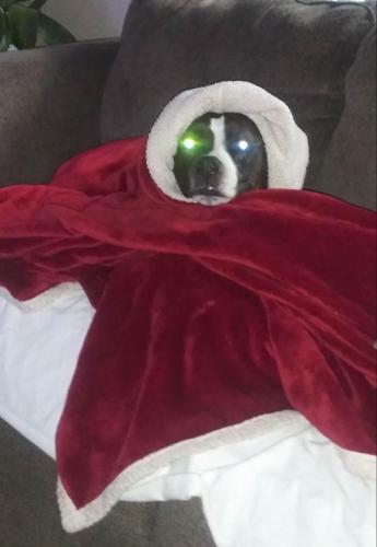 06:05:43 GMT-0500 (EST)