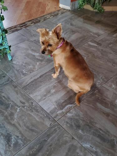 16:50:37 GMT-0800 (PST)