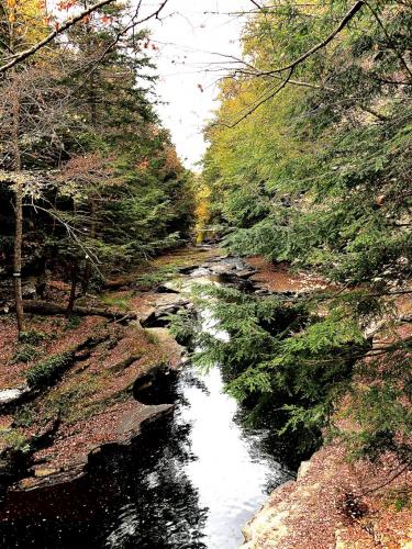 14:11:48 GMT-0500 (EST).image