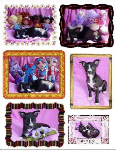 18:11:12 GMT-0600 (CST)