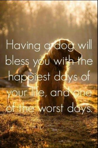 20:49:54 GMT-0600 (CST).image