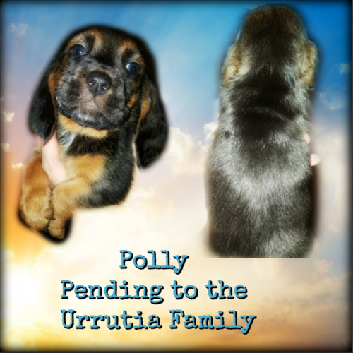 55782416-1273803662774212-2266847046923190272-n