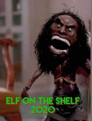 Elf on the shelf 2020