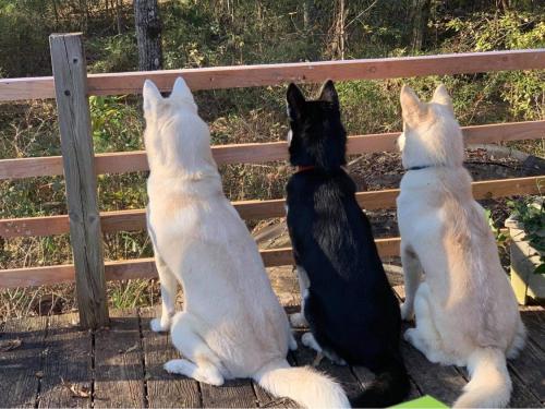 07:17:15 GMT-0600 (CST).image