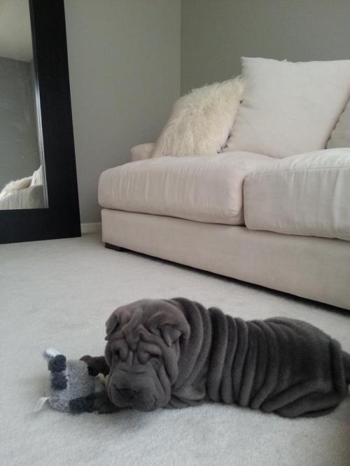 11:43:01 GMT-0500 (EST).image