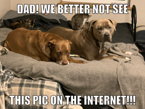 23:33:29 GMT-0600 (CST).image