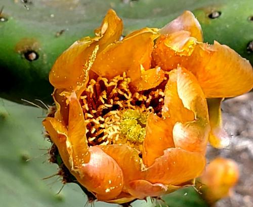 16:01:18 GMT-0800 (PST)