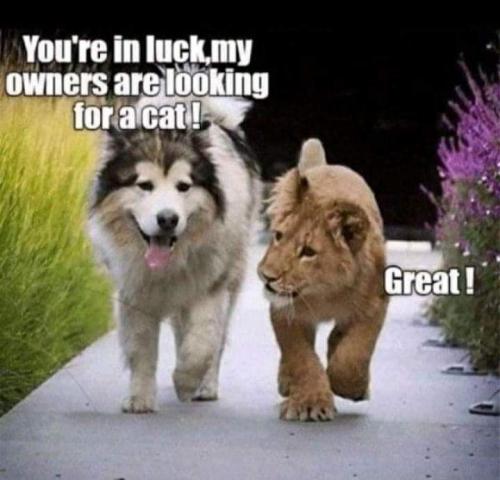 13:36:59 GMT-0500 (EST)