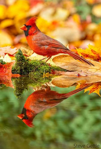 127188002_5127902207250378_5989109254272059528_o