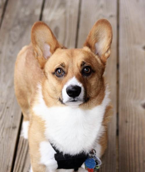 13:48:58 GMT-0500 (EST).image